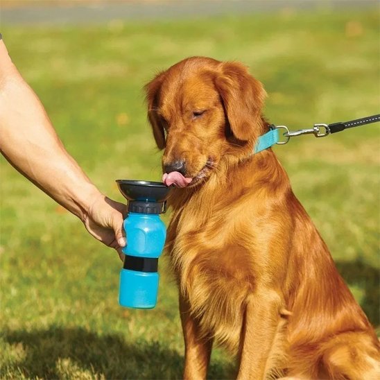 Gourde pour chien | Hydra Pratique - My premium dog