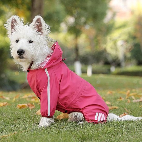 Manteau pour chien | Cozy - Winter - My premium dog