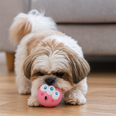 Balle pour Chien | Ultra Rebond - My premium dog