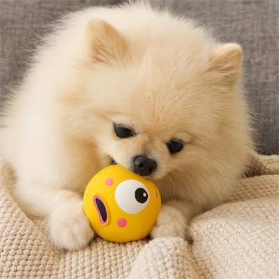 Balle pour Chien | Ultra Rebond - My premium dog