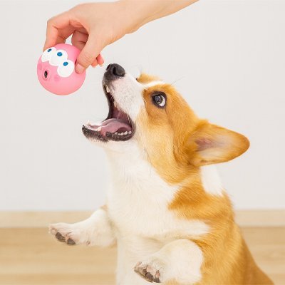 Balle pour Chien | Ultra Rebond - My premium dog