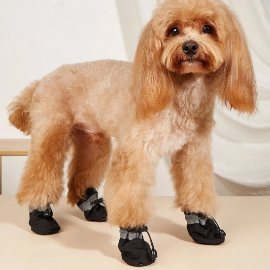 Chaussures chien | Protège - Pattes - My premium dog
