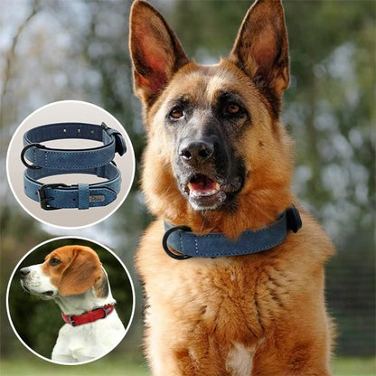 Collier chien | Confort Premium - My premium dog