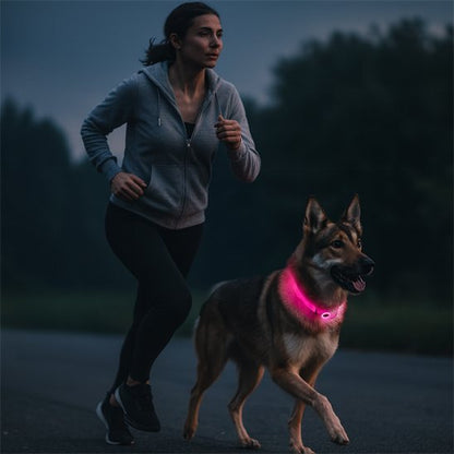 Collier lumineux chien | Sécurité Nocturne - My premium dog
