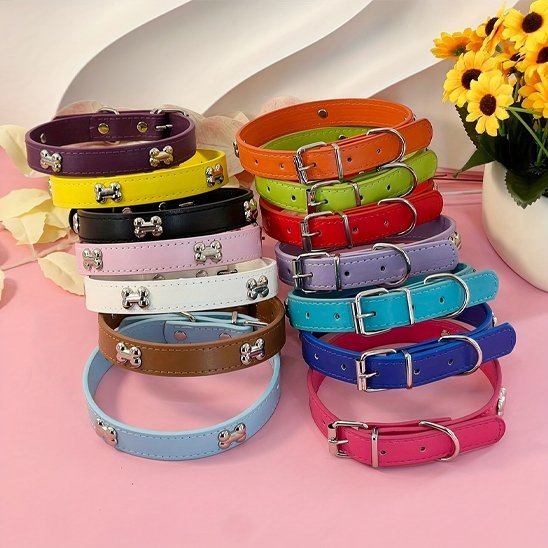 Collier pour chien | Robuste & Stylé - My premium dog