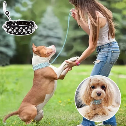 Collier pour chien | Robuste & Stylé - My premium dog