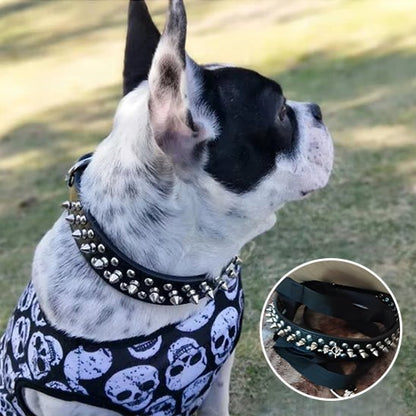 Collier pour chien | Robuste & Stylé - My premium dog