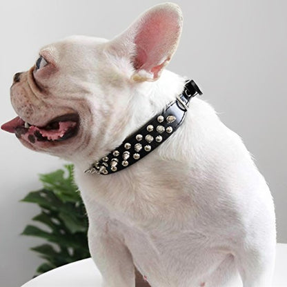 Collier pour chien | Robuste & Stylé - My premium dog