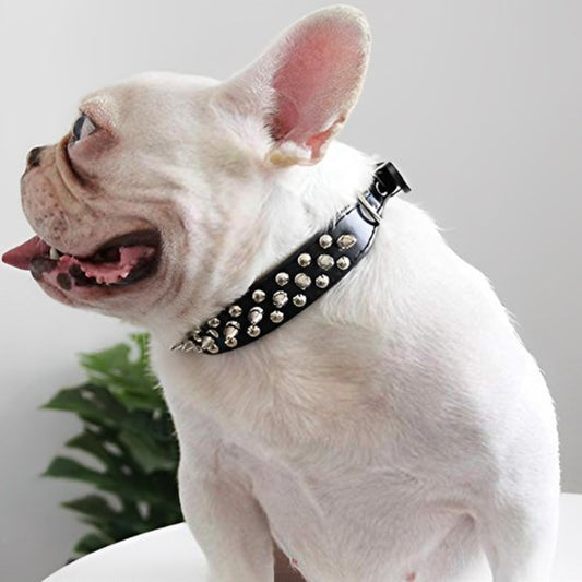 Collier pour chien | Robuste & Stylé - My premium dog