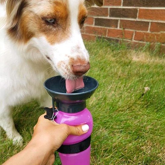 Gourde pour chien | Hydra Pratique - My premium dog