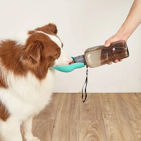 Gourde pour chien | Portable Anti - Fuite - My premium dog