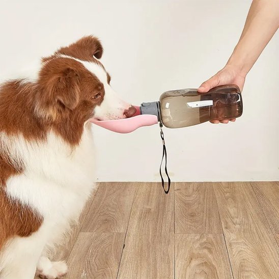 Gourde pour chien | Portable Anti - Fuite - My premium dog