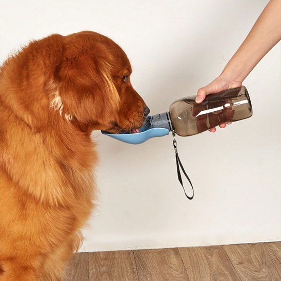Gourde pour chien | Portable Anti - Fuite - My premium dog