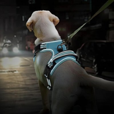 Harnais chien | Confort Ajustable - My premium dog