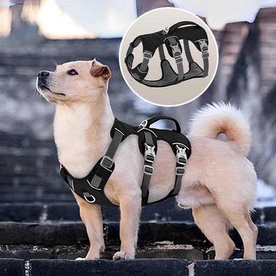 Harnais pour chien | Confort Sécurisé - My premium dog