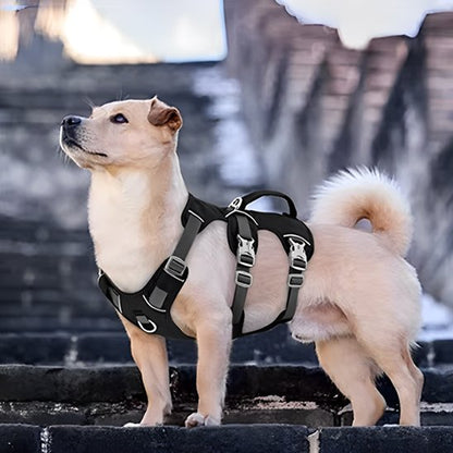 Harnais pour chien | Confort Sécurisé - My premium dog