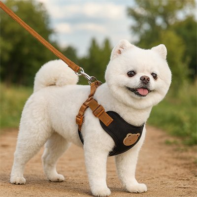 Harnais pour petit Chien | ComfortSecure - My premium dog