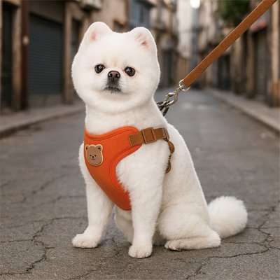 Harnais pour petit Chien