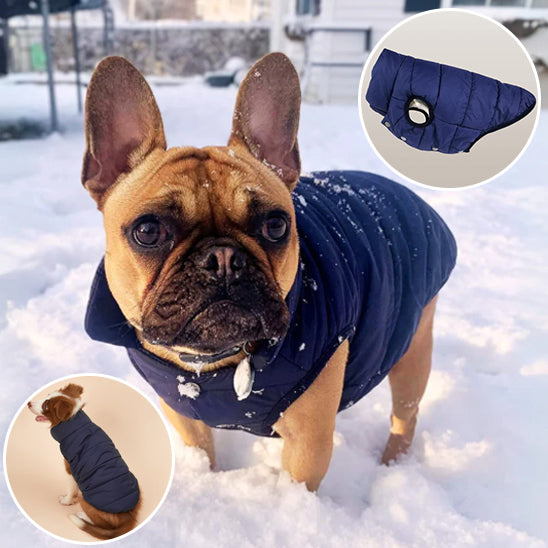 Manteau pour chien | Thermo-Protect