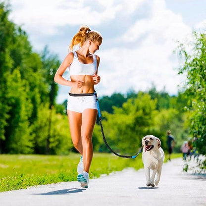 Laisse chien main libre