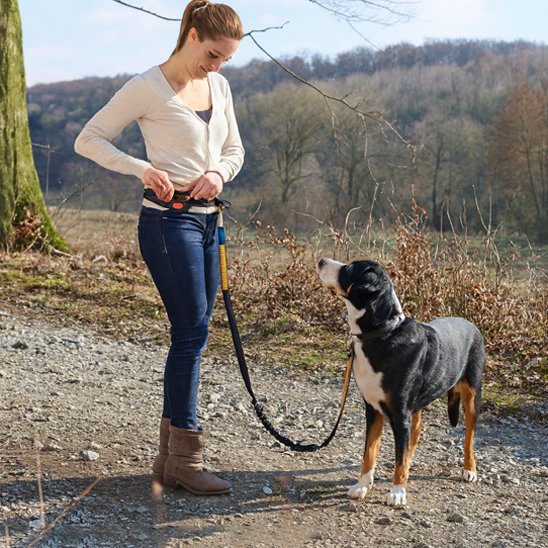 Laisse chien main libre