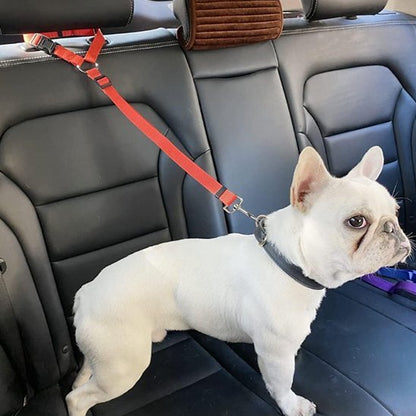 Laisse chien | Robuste Confort - My premium dog