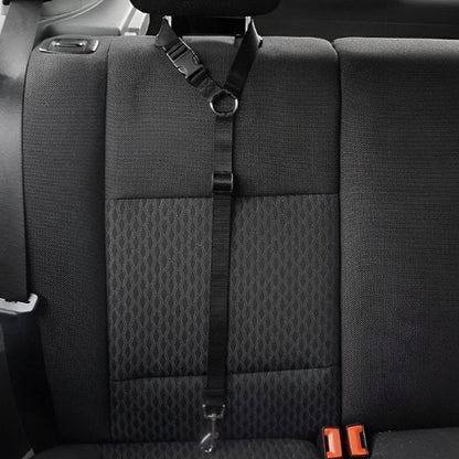 Laisse chien | Robuste Confort - My premium dog