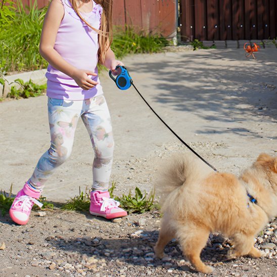 Laisse pour chien | Robuste & Confort - My premium dog