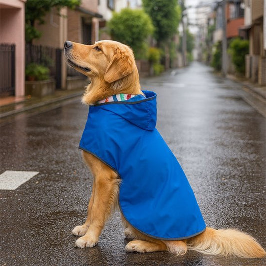 Manteau chien | Imperméable Confort - My premium dog