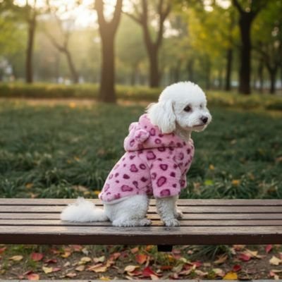 Manteau Chien | Imperméable Confort - My premium dog