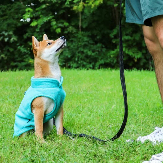 Manteau chien | ImperProtect - My premium dog