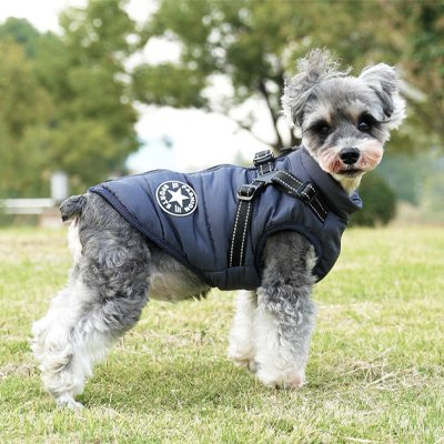 Manteau Chien