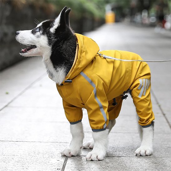 Manteau pour chien | Cozy - Winter - My premium dog