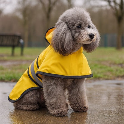 Manteau pour chien | Imperméable - My premium dog