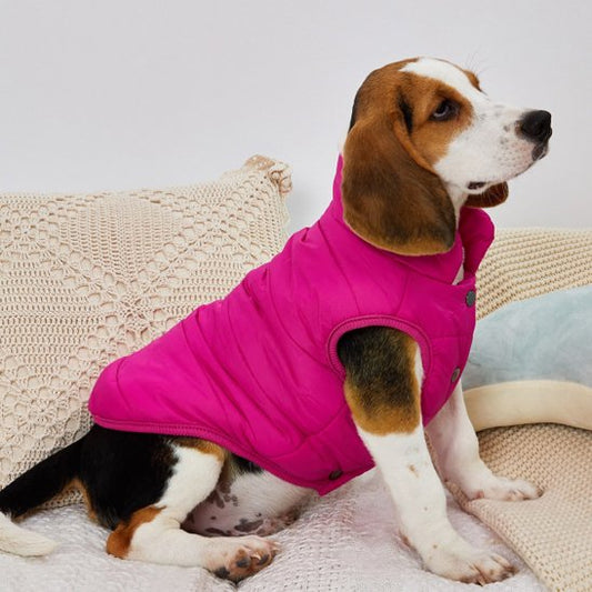 Manteau pour chien