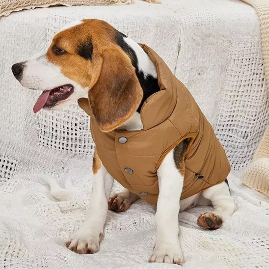 Manteau pour chien