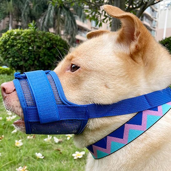 Muselière | Sécur'Confort - My premium dog