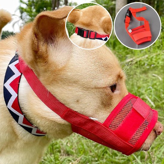 Muselière | Sécur'Confort - My premium dog