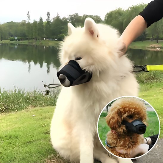 Muselière | Sécur'Confort - My premium dog