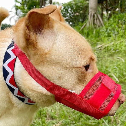 Muselière | Sécur'Confort - My premium dog