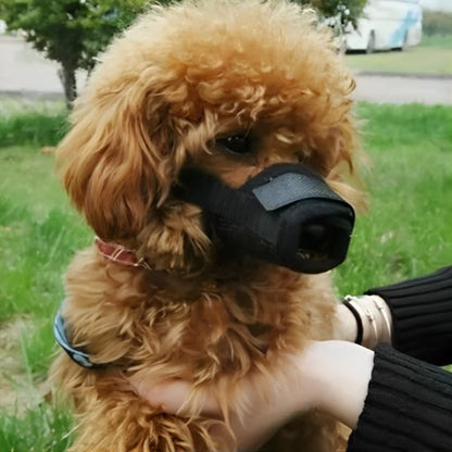 Muselière | Sécur'Confort - My premium dog