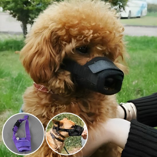 Muselière | Sécur'Confort - My premium dog