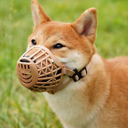 Muselière pour chien