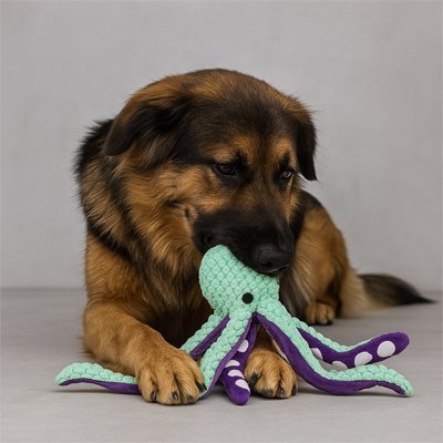 Peluche Chien | Doudou Apaisant - My premium dog