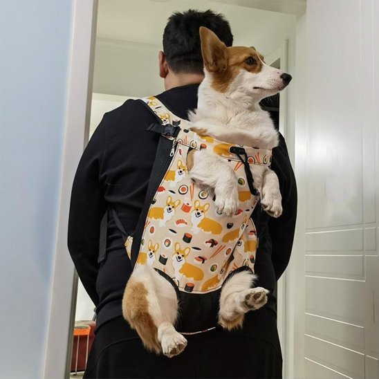 Sac de transport chien | Confort Sécurisé - My premium dog