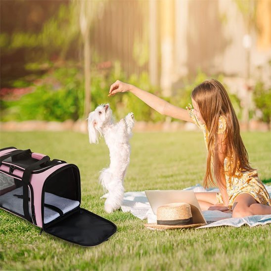 Sac transport chien | Compagnon Voyageur - My premium dog