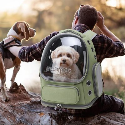 Sac transport Chien | VoyageSécur - My premium dog