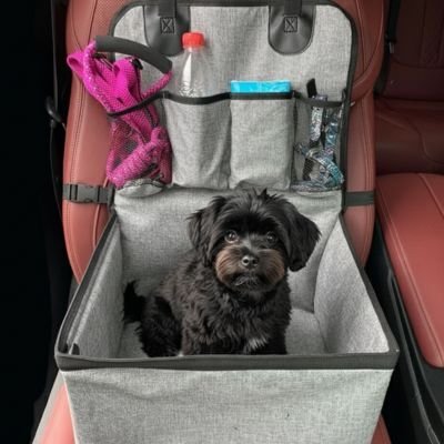 Siege auto pour chien | Securitravel - My premium dog