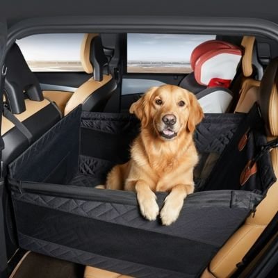 Siege auto pour chien | TravelSecure - My premium dog
