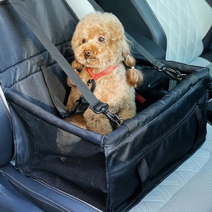 Siege auto pour chien